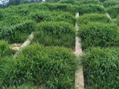 2026秋季物业集采峰会
