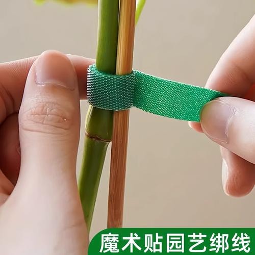 园艺绑带