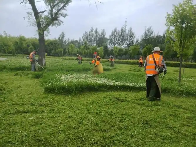 绿化养护区域代理招商